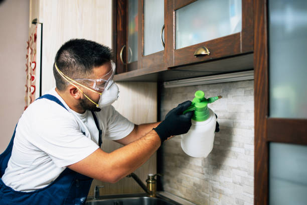 Best Pest Removal Services  in Baird, TX