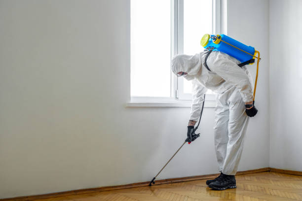 Best Affordable Pest Control Services  in Baird, TX