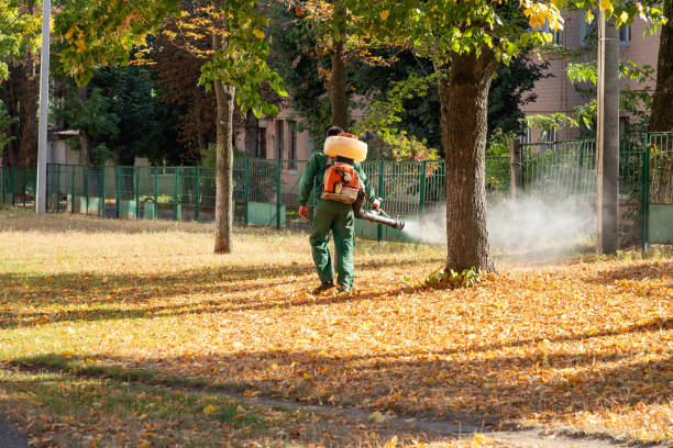 Best Best Pest Control Companies  in Baird, TX